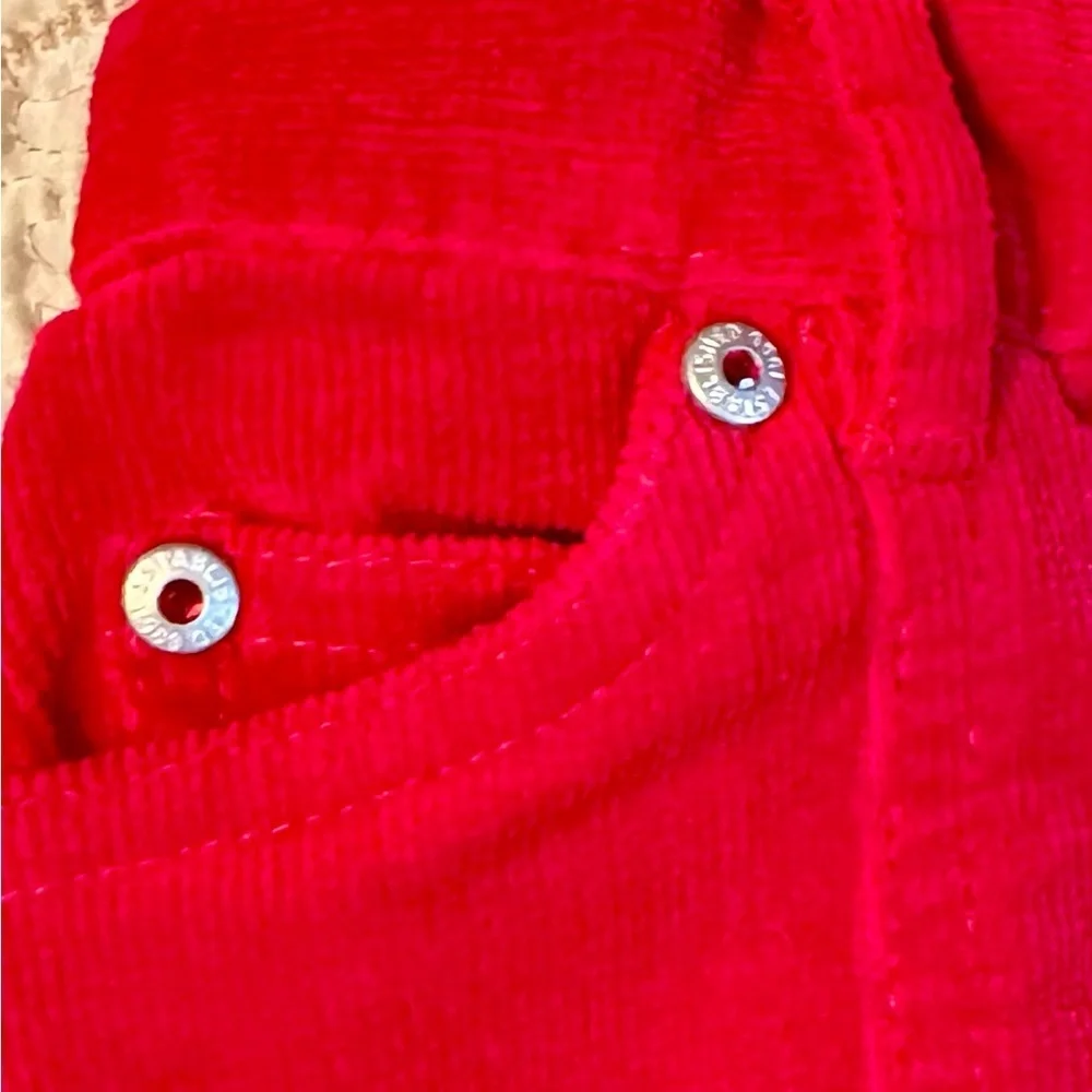 The Children’s Place corduroy skirts size 4. One Red and one pink multi.